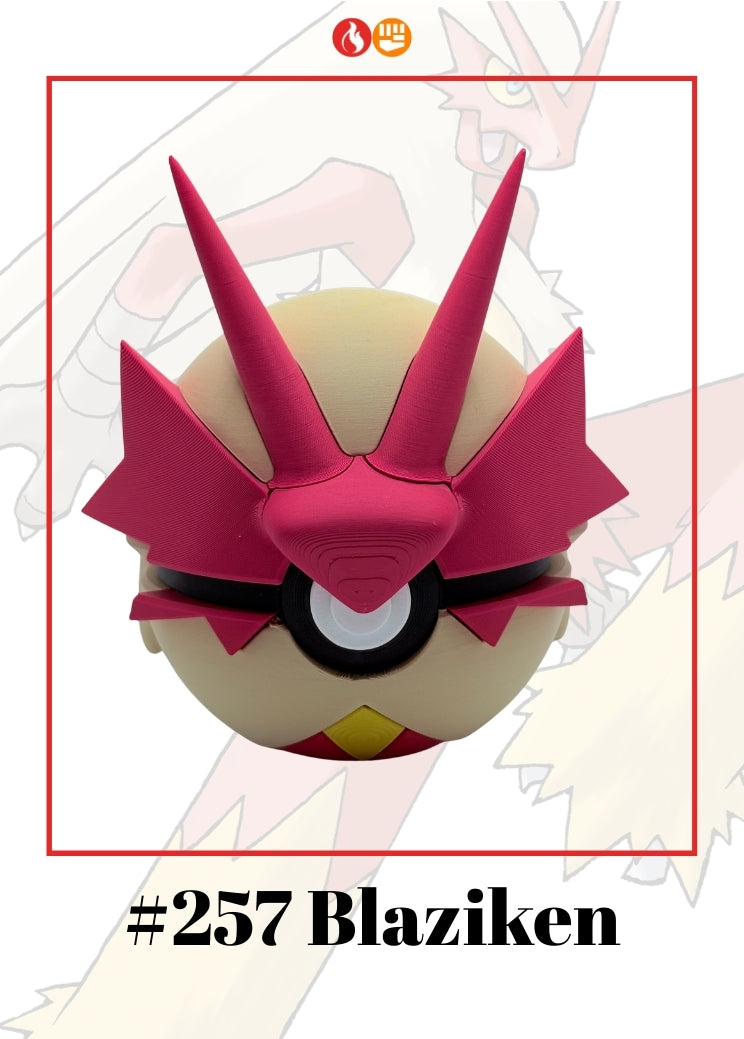 Blaziken Ball #257